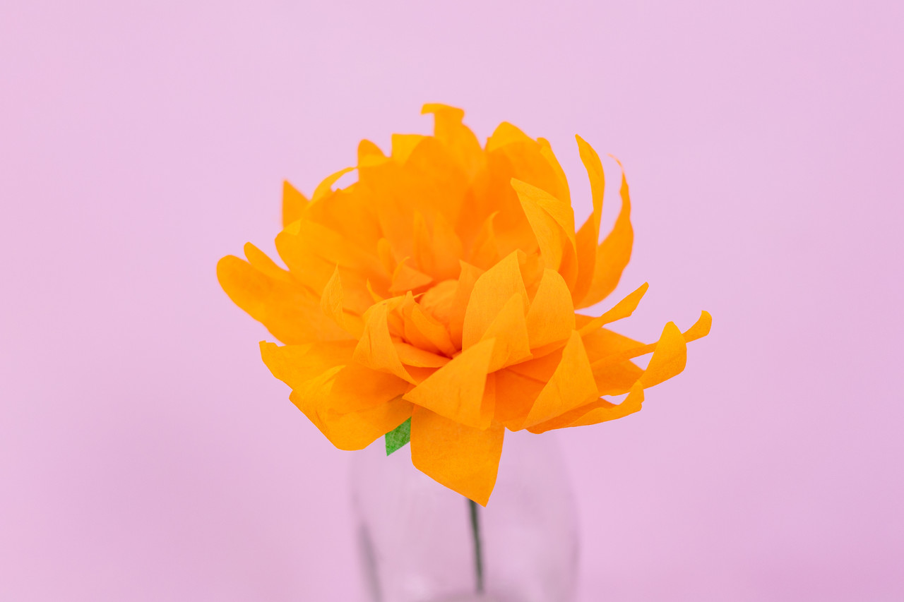 Crafter's Companion Say It With Flowers Template Build A Bouquet (S-SIWF-TP-BABO) (OUTLET) Crafter's Companion Say It With Flowers Template Build A Bouquet (S-SIWF-TP-BABO) (OUTLET)