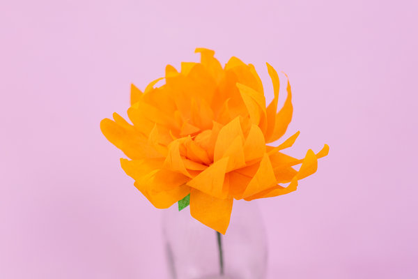 Crafter's Companion Say It With Flowers Template Build A Bouquet (S-SIWF-TP-BABO) (OUTLET) Crafter's Companion Say It With Flowers Template Build A Bouquet (S-SIWF-TP-BABO) (OUTLET)