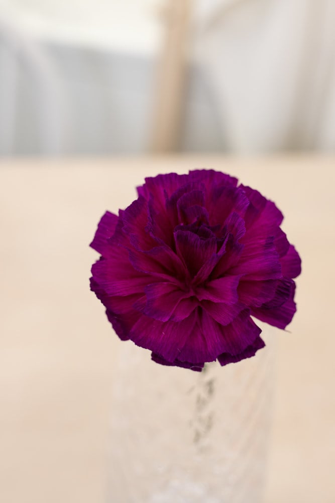 Crafter's Companion Say It With Flowers Crepe Paper Flower Making Kit (S-SIWF-CPFMKIT) (OUTLET) Crafter's Companion Say It With Flowers Crepe Paper Flower Making Kit (S-SIWF-CPFMKIT) (OUTLET)