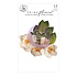 Magnolia Rouge Flowers Peaceful Magnolia (12pcs) (659608) (DISCONTINUED) Magnolia Rouge Flowers Peaceful Magnolia (12pcs) (659608) (DISCONTINUED)
