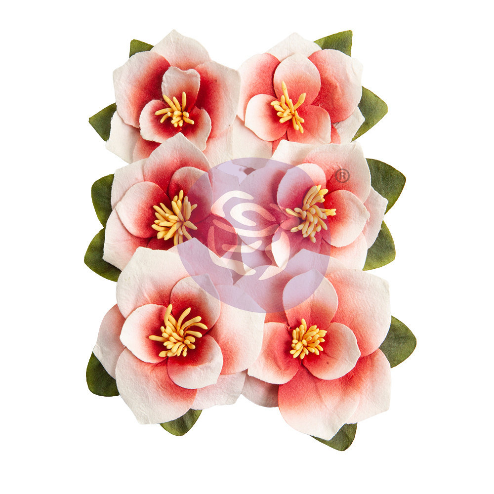 Prima Marketing Magnolia Rouge Flowers Blushing Florals (6pcs) (659639) (DISCONTINUED)