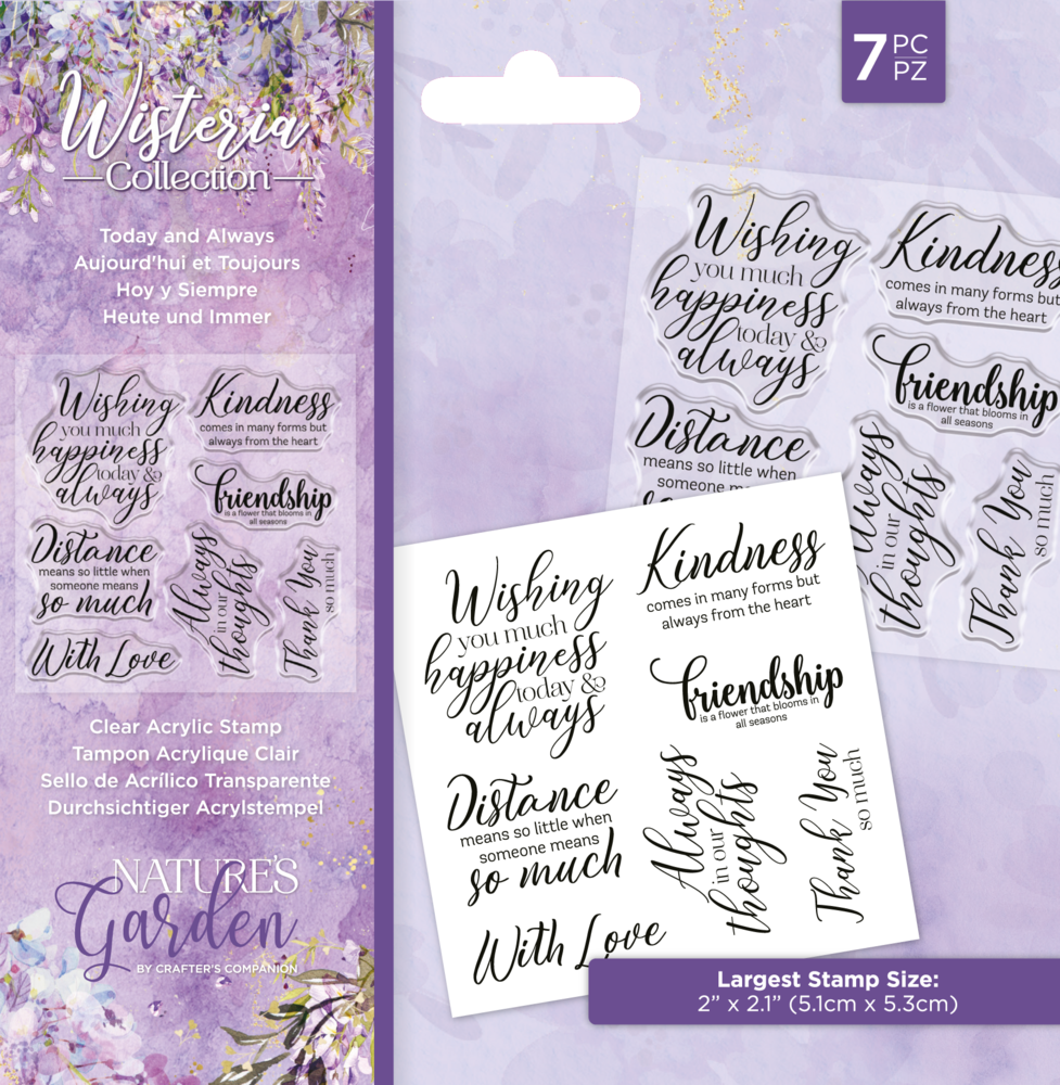 Crafter's Companion Wisteria Collection Clear Stamp Today and Always (NG-WC-ST-TAA) (OUTLET) Crafter's Companion Wisteria Collection Clear Stamp Today and Always (NG-WC-ST-TAA) (OUTLET)
