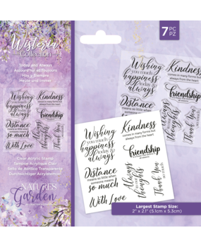Crafter's Companion Wisteria Collection Clear Stamp Today and Always (NG-WC-ST-TAA) (OUTLET)