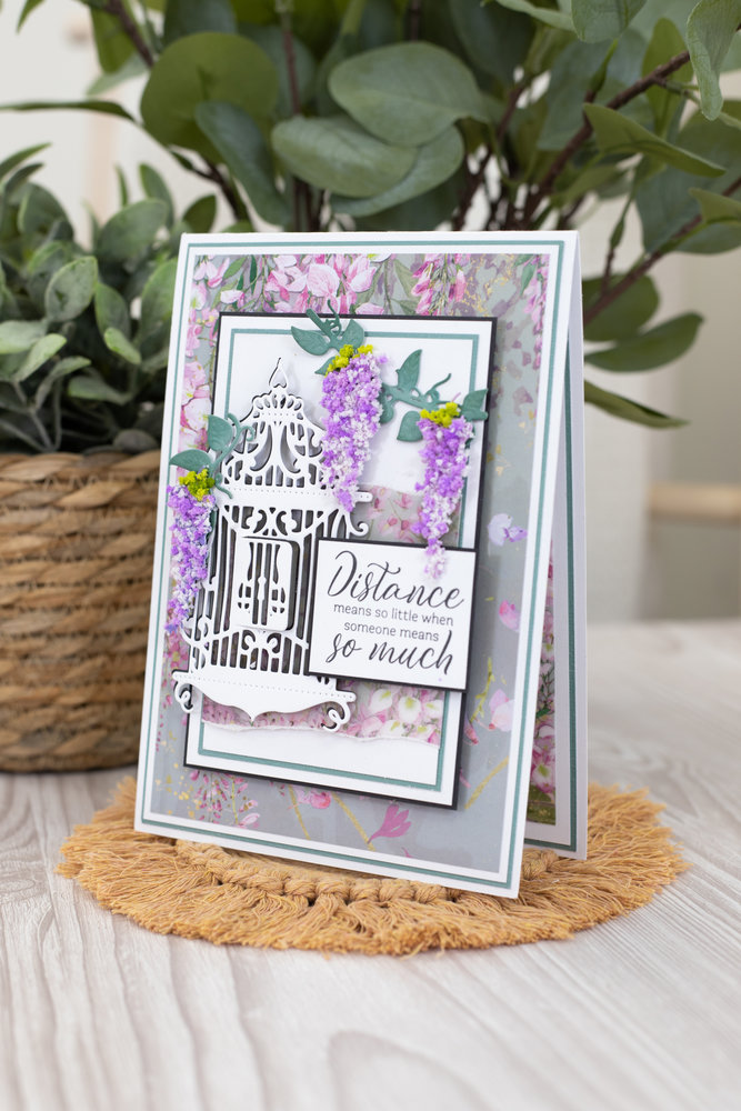 Crafter's Companion Wisteria Collection Clear Stamp Today and Always (NG-WC-ST-TAA) (OUTLET) Crafter's Companion Wisteria Collection Clear Stamp Today and Always (NG-WC-ST-TAA) (OUTLET)