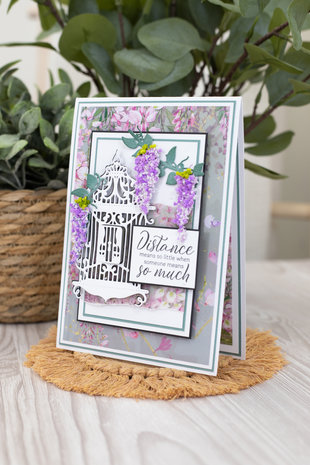 Crafter's Companion Wisteria Collection Clear Stamp Today and Always (NG-WC-ST-TAA) (OUTLET) Crafter's Companion Wisteria Collection Clear Stamp Today and Always (NG-WC-ST-TAA) (OUTLET)