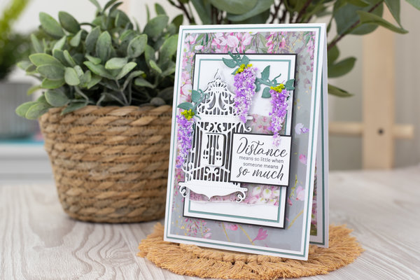 Crafter's Companion Wisteria Collection Clear Stamp Today and Always (NG-WC-ST-TAA) (OUTLET) Crafter's Companion Wisteria Collection Clear Stamp Today and Always (NG-WC-ST-TAA) (OUTLET)