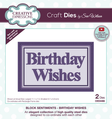 Creative Expressions Sue Wilson Craft Die Block Sentiments Birthday Wishes (CED4466) (OUTLET)