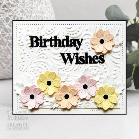 Creative Expressions Sue Wilson Craft Die Block Sentiments Birthday Wishes (CED4466) (OUTLET)
