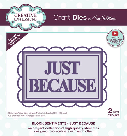 Creative Expressions Sue Wilson Craft Die Block Sentiments Just Because (CED4467) (OUTLET)