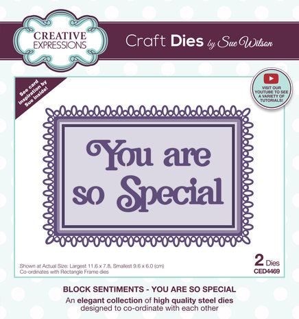 Creative Expressions Sue Wilson Craft Die Block Sentiments You Are So Special (CED4469) (OUTLET)
