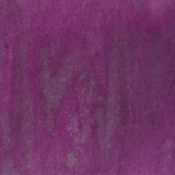 Lindy's Stamp Gang Petticoat Plum Starburst Spray (ss-105) (DISCONTINUED)