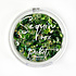 All About the Greens Sequin Mix (SQ-164) (OUTLET) All About the Greens Sequin Mix (SQ-164) (OUTLET)