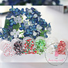 Dress My Craft Shaker Slices Family Pack Christmas (6x8g) (DMCS4185) (OUTLET) Dress My Craft Shaker Slices Family Pack Christmas (6x8g) (DMCS4185) (OUTLET)