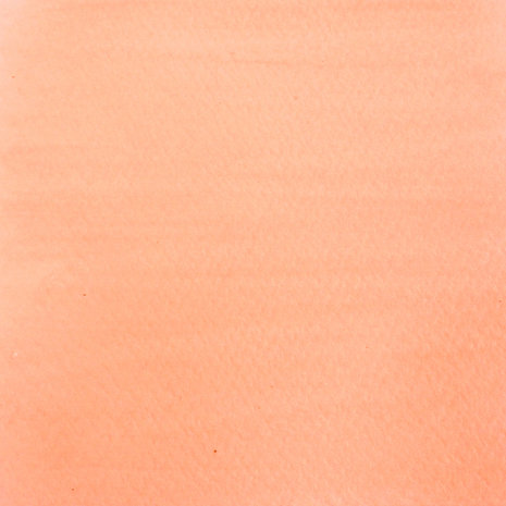 Cosmic Shimmer Botanical Stains Sandalwood 60ml (CSBOTSAND) (OUTLET) Cosmic Shimmer Botanical Stains Sandalwood 60ml (CSBOTSAND) (OUTLET)