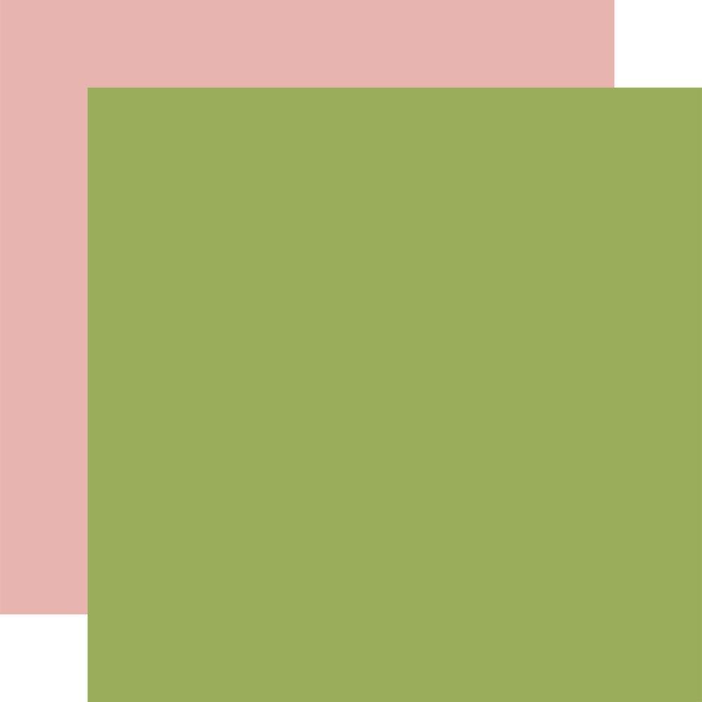 Echo Park A Birthday Wish Girl 12x12 Inch Coordinating Solids Paper Pack (BWG296015) (DISCONTINUED)