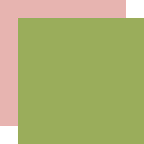Echo Park A Birthday Wish Girl 12x12 Inch Coordinating Solids Paper Pack (BWG296015) (DISCONTINUED)