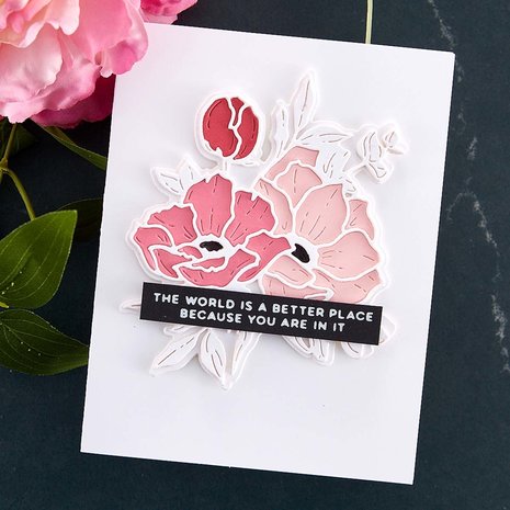 Spellbinders Anemones Etched Dies (S4-1246) (DISCONTINUED) Spellbinders Anemones Etched Dies (S4-1246) (DISCONTINUED)