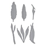 Spellbinders Bird of Paradise Etched Dies (S4-1237) (OUTLET)