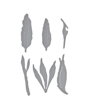 Spellbinders Bird of Paradise Etched Dies (S4-1237) (OUTLET)