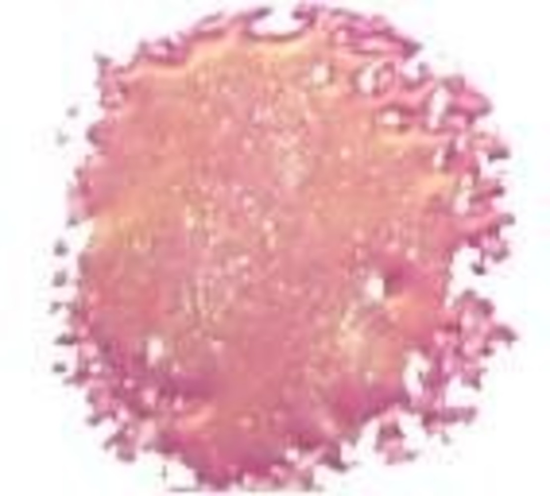 Cosmic Shimmer Blaze Embossing Powder Redfire Violet 20ml (CSEPREDFI) (OUTLET)