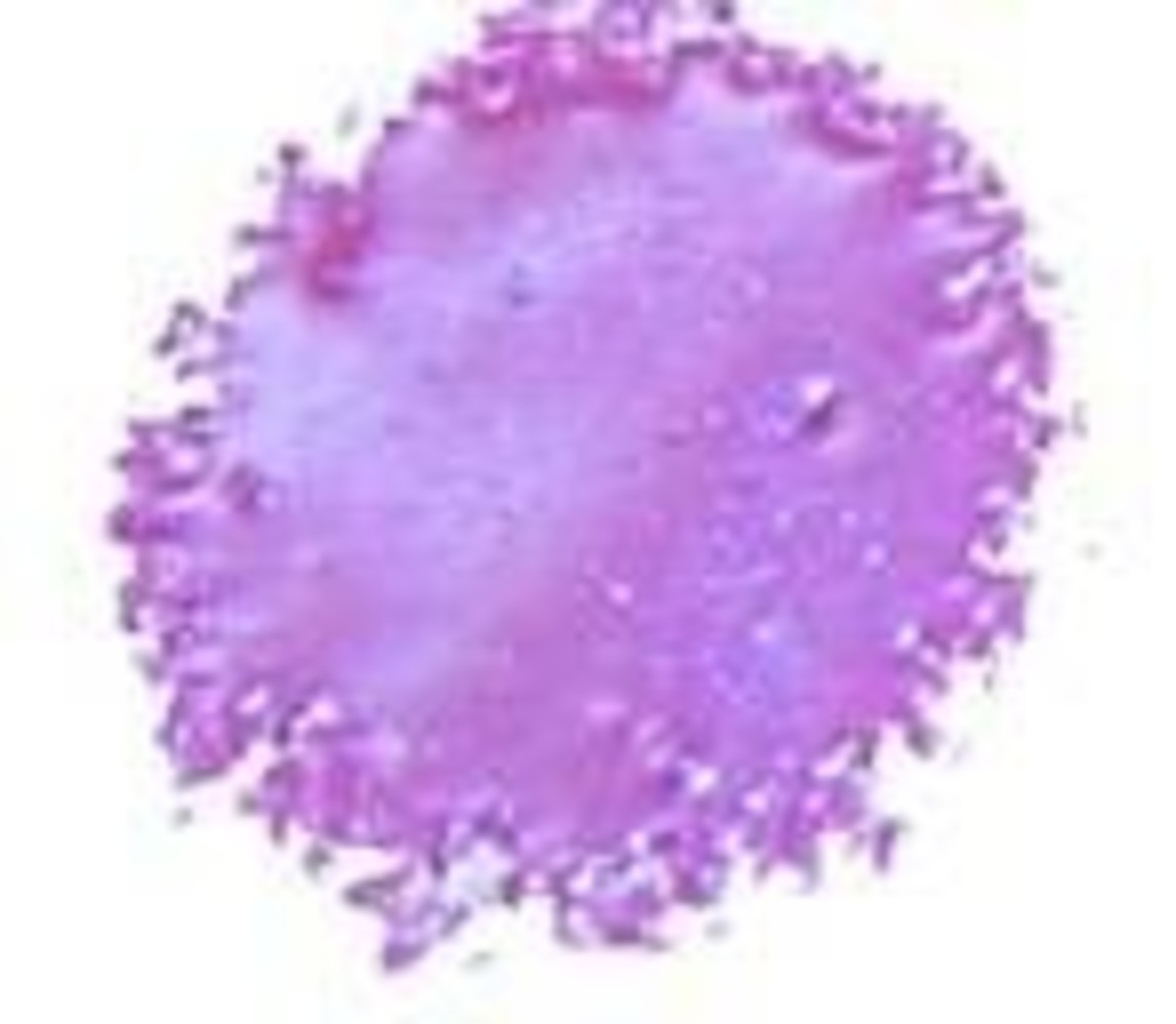 Cosmic Shimmer Blaze Embossing Powder Raspberry Violet 20ml (CSEPRASVIO) (OUTLET)