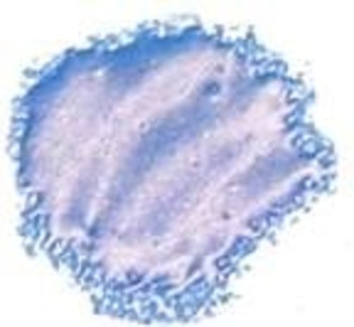 Cosmic Shimmer Blaze Embossing Powder Navy Viola 20ml (CSEPNAVY) (OUTLET)