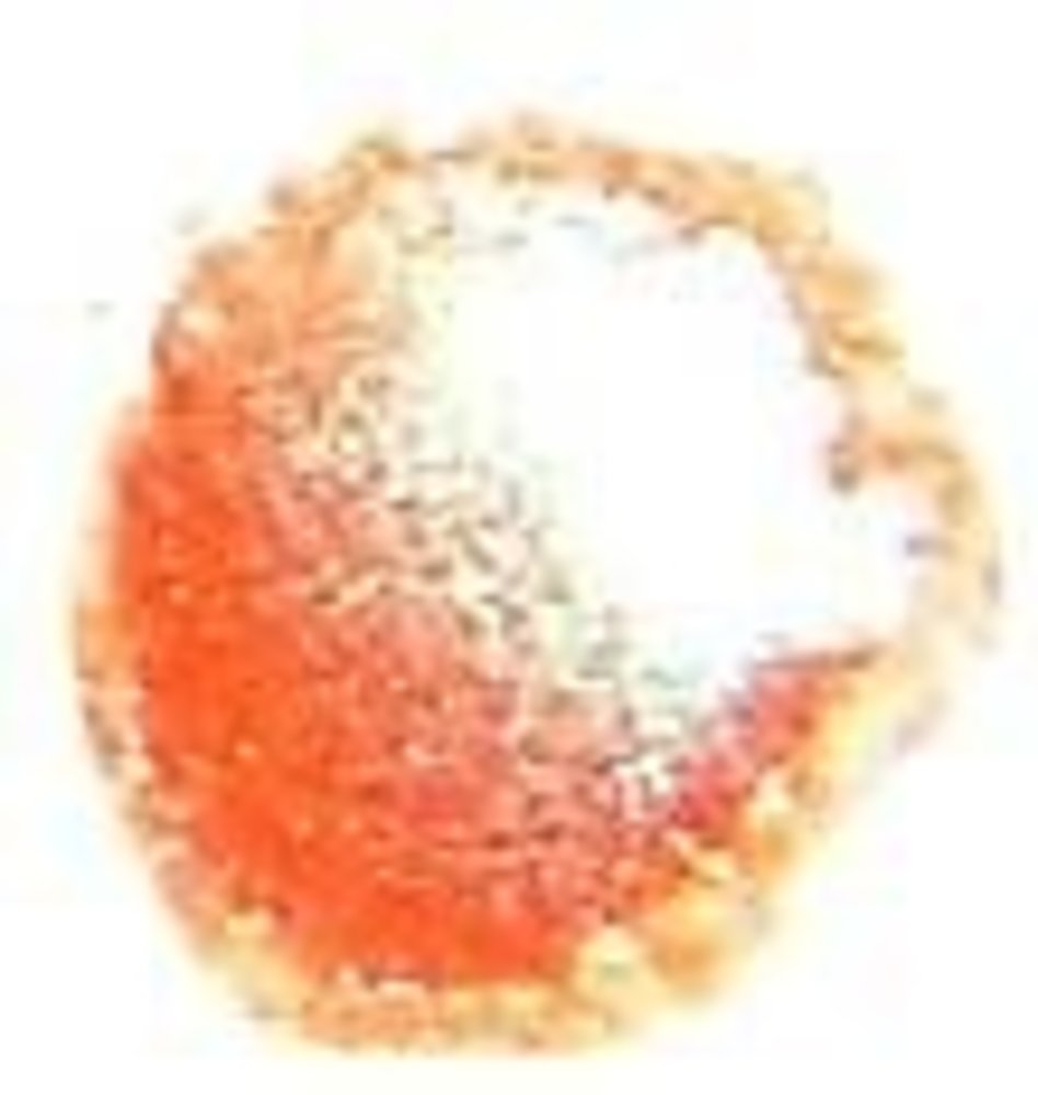 Cosmic Shimmer Embossing Powder Coral Glow 20ml (CSEPCOR) (OUTLET)