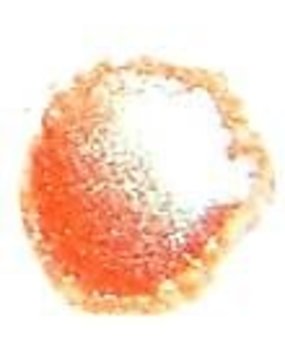 Cosmic Shimmer Embossing Powder Coral Glow 20ml (CSEPCOR) (OUTLET)