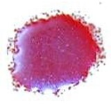 Cosmic Shimmer Embossing Powder Blue Raspberry 20ml (CSEPBLUERA) (OUTLET)