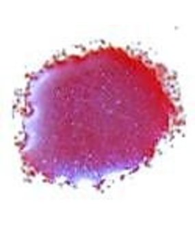 Cosmic Shimmer Embossing Powder Blue Raspberry 20ml (CSEPBLUERA) (OUTLET)