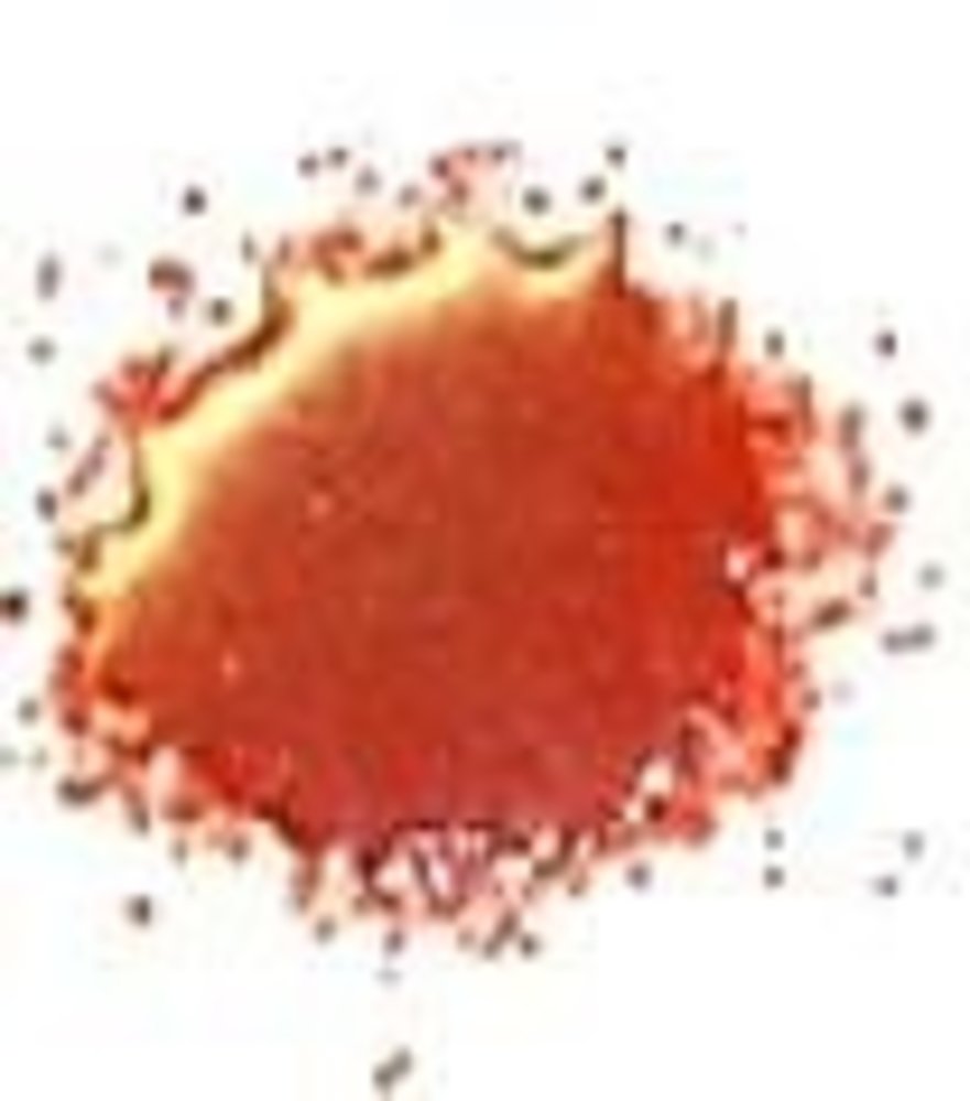 Cosmic Shimmer Embossing Powder Arctic Red 20ml (CSEPRED) (OUTLET)