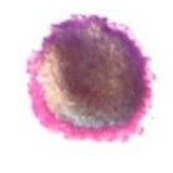 Cosmic Shimmer Embossing Powder Regal Artic 20ml (CSEPREGAL) (OUTLET)