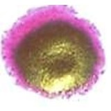 Cosmic Shimmer Embossing Powder Magenta Blaze 20ml (CSEPMAG) (OUTLET)