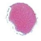 Cosmic Shimmer Embossing Powder Lapis Pink 20ml (CSEPPINK) (OUTLET)