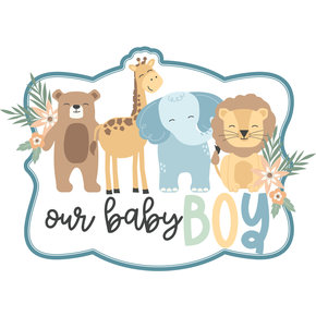 Our Baby Boy