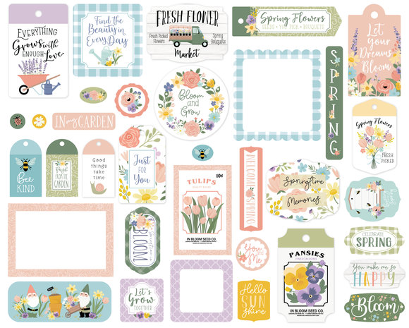 Echo Park It's Spring Time Frames & Tags (IST299025) (DISCONTINUED)