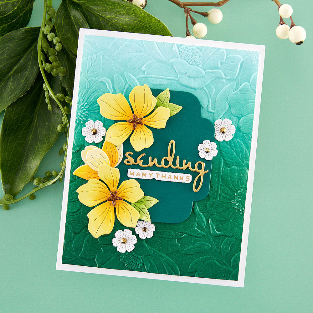 Spellbinders Four Petal Floral 3D Embossing Folder (E3D-053)