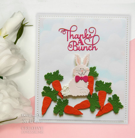 Creative Expressions Sue Wilson Craft Die Mini Expressions Thanks A Bunch (CEDME135) (OUTLET) Creative Expressions Sue Wilson Craft Die Mini Expressions Thanks A Bunch (CEDME135) (OUTLET)