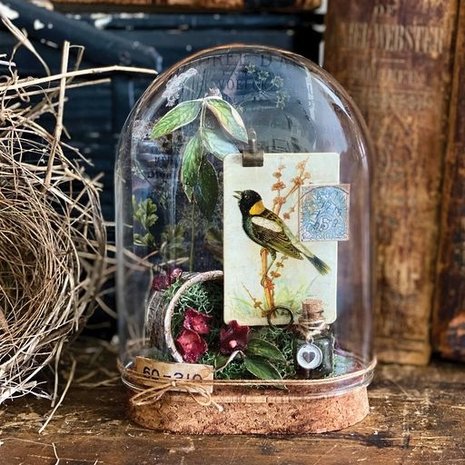 Idea-ology Tim Holtz Reliquary Dome (TH94323)