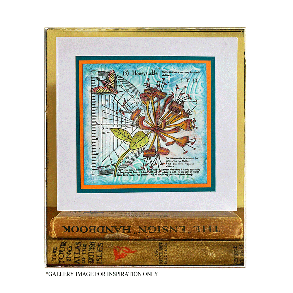 Crafty Individuals Honeysuckle (3) Unmounted Rubber Stamps (CI-620) (OUTLET)