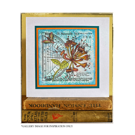 Crafty Individuals Honeysuckle (3) Unmounted Rubber Stamps (CI-620) (OUTLET)