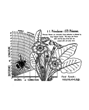 Crafty Individuals Primrose (17) Unmounted Rubber Stamps (CI-621) (OUTLET)