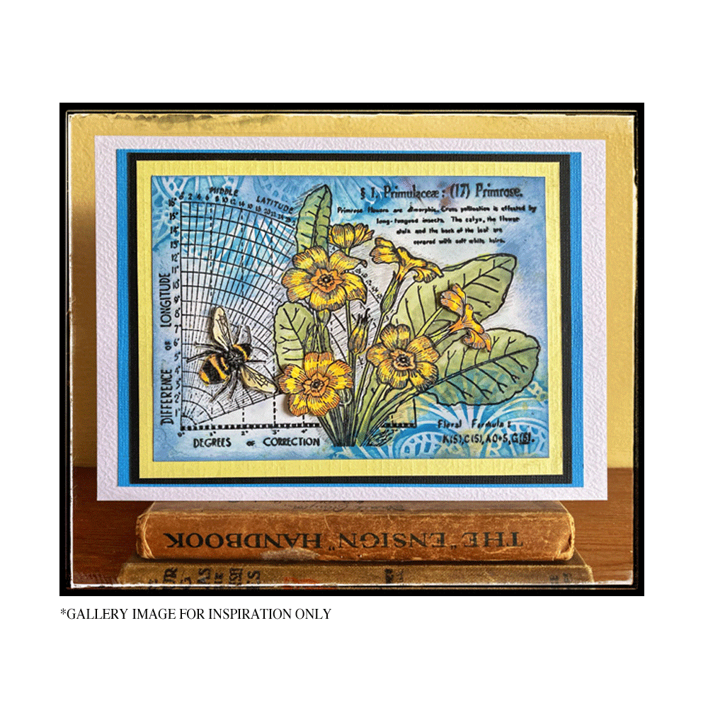 Crafty Individuals Primrose (17) Unmounted Rubber Stamps (CI-621) (OUTLET)