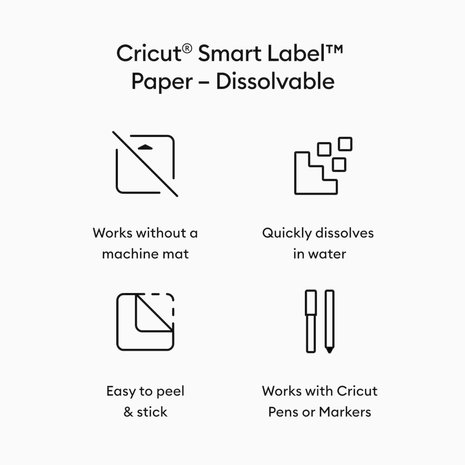 Cricut Smart Labels Disolvable White (1 sheet) (2010062) (DISCONTINUED)