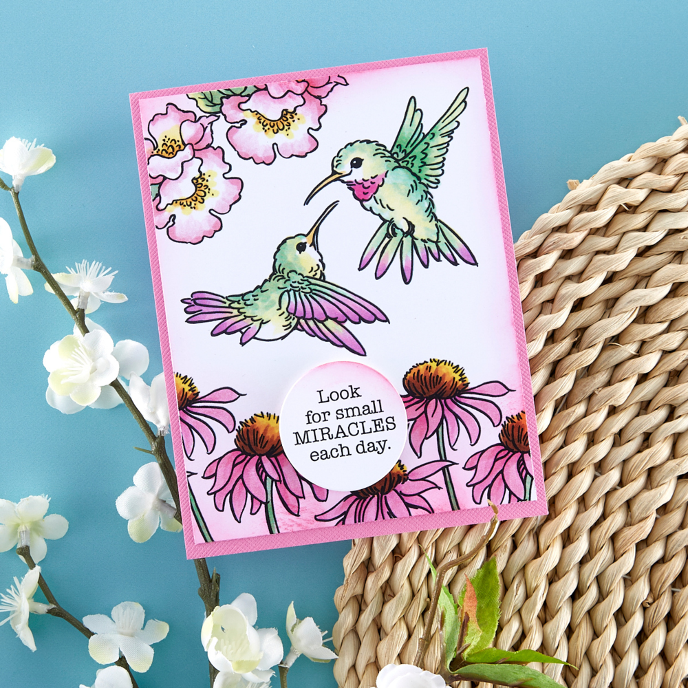 Stampendous Hummingbird Day Clear Stamps (STP-193) (OUTLET) Stampendous Hummingbird Day Clear Stamps (STP-193) (OUTLET)