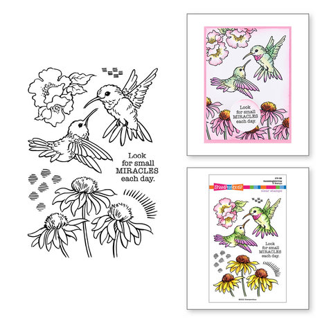Stampendous Hummingbird Day Clear Stamps (STP-193) (OUTLET) Stampendous Hummingbird Day Clear Stamps (STP-193) (OUTLET)