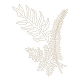 Spellbinders Glimmer Ferns Glimmer Hot Foil Plate (GLP-378) (OUTLET)