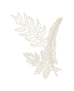 Spellbinders Glimmer Ferns Glimmer Hot Foil Plate (GLP-378) (OUTLET)