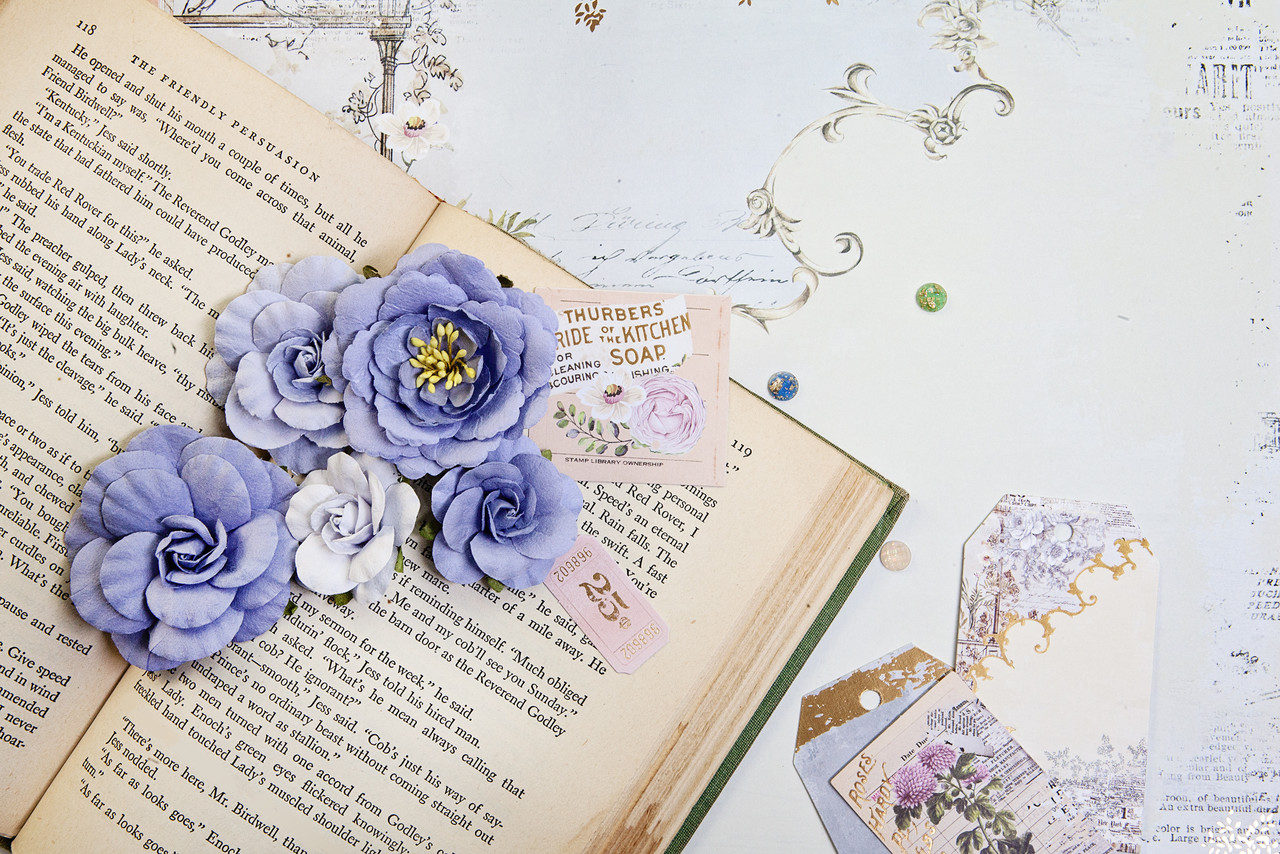 Prima Marketing The Plant Department Say It In Crystals (48pcs) (662035) (DISCONTINUED) Prima Marketing The Plant Department Say It In Crystals (48pcs) (662035) (DISCONTINUED)