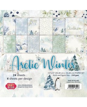 Craft & You Design Arctic Winter 6x6 Inch Paper Set 250gsm (24sheets) (CPB-AW15) (DISCONTINUED)